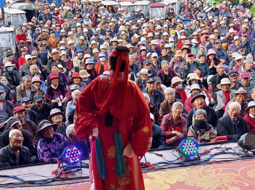手机摄影点亮公益之光中国摄影报“2024vivo影像加”月度手机作品(图14)