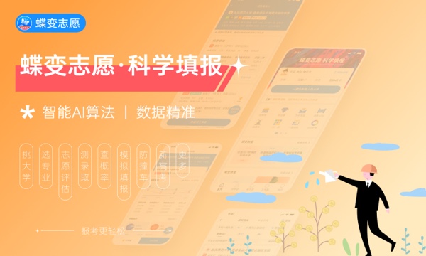 2024艺术生填报志愿的模板有哪些报考技巧(图1)