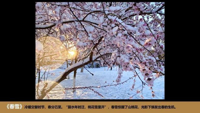 2024大成北京总所摄影大赛以光影艺术映照时代华章(图4)