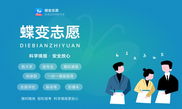 2024艺考生志愿可以报几所院校能报什么专业(图1)