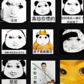 敢不敢对号入座？头像就能判断你是什么人(图12)