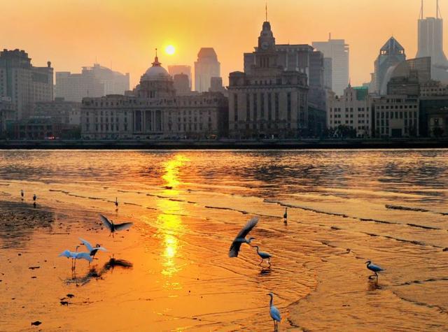 全国投稿、全民参与用光影定格“人民城市”美好图景！(图2)