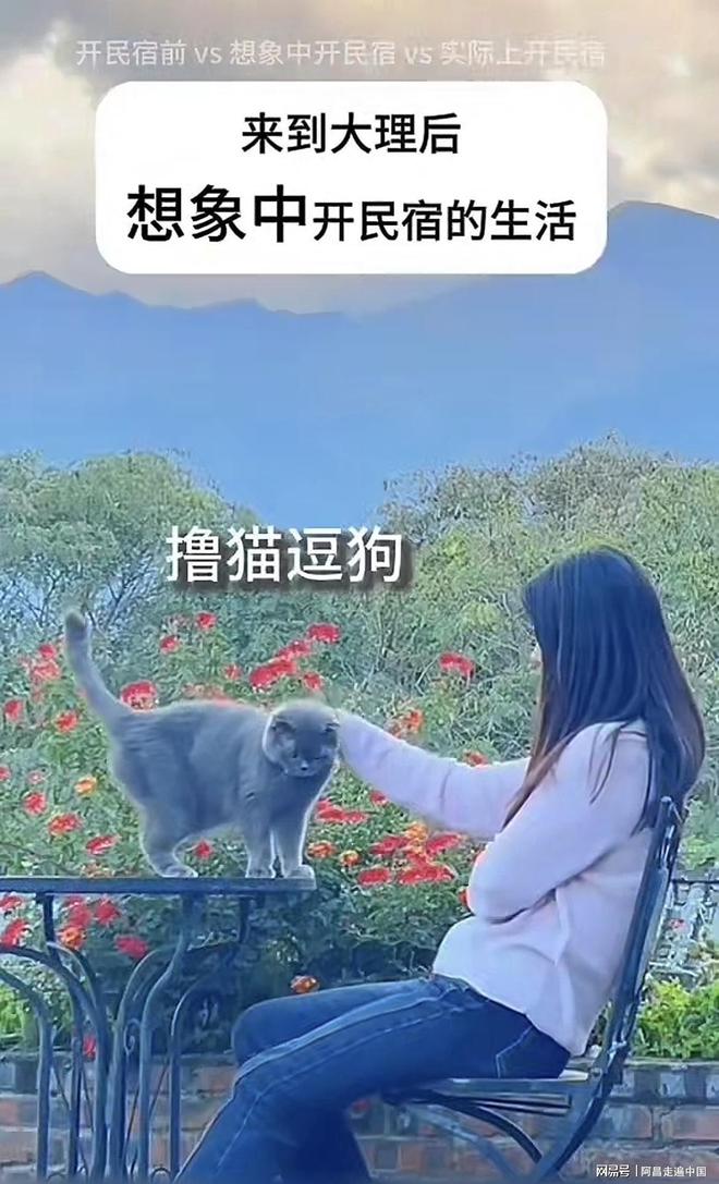 云南大理古城互联网总经理辞职开民宿变身清洁工累倒住进医院(图14)