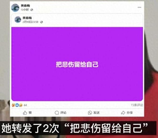 大S其实不爱自己的两个孩子。首先是媒体爆料大S竟然用汪小菲给(图1)