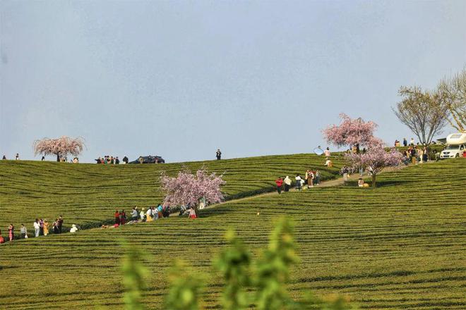 牢记嘱托贵安大变样忠诚感恩展现新风采｜贵安新区真“爽”！(图5)