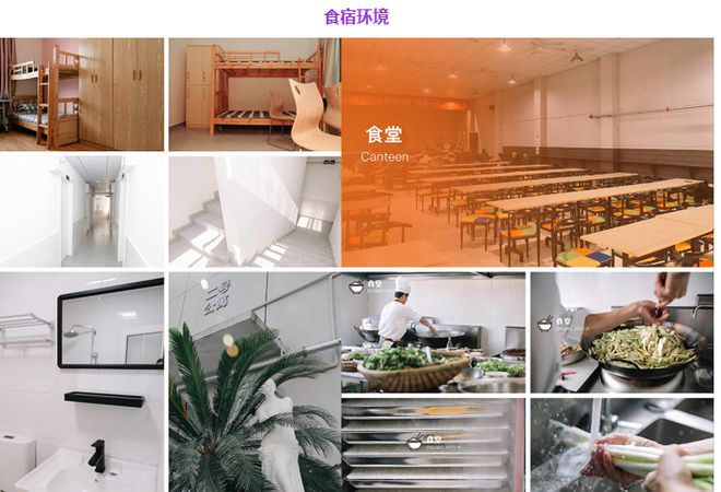 艺考文化课突破指南：成都定制化培训机构深度解析(图3)