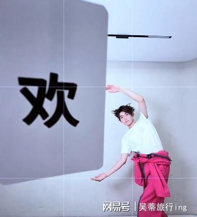 虎落平阳被犬欺单飞8年后的王源还是走上了陈志朋的老路(图17)