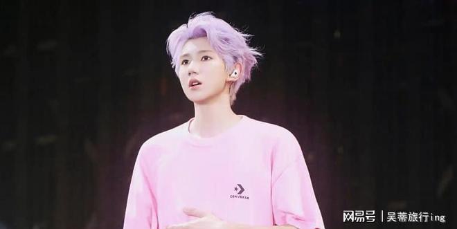 虎落平阳被犬欺单飞8年后的王源还是走上了陈志朋的老路(图3)