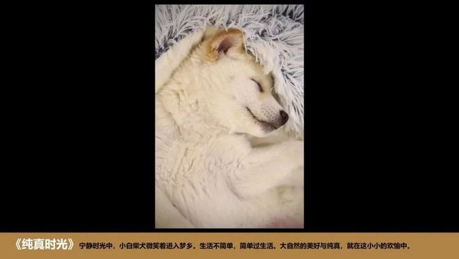 易倍网站：2024大成北京总所摄影大赛以光影艺术映照时代华章(图5)