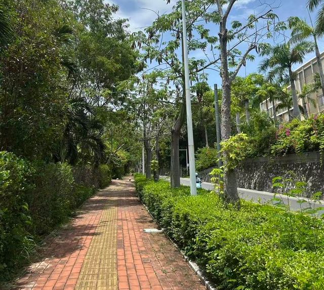 三亚27岁女游客疑被蛇咬伤身亡家属：抢救3小时后医院称“没救治经验”丨封面头条(图2)