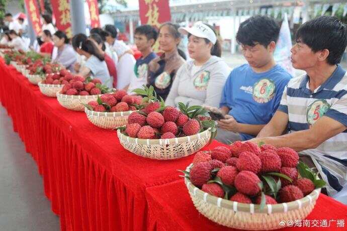 易倍：海口一颗“荔枝王”拍出68万元高价刷新历史重达8768克(图2)