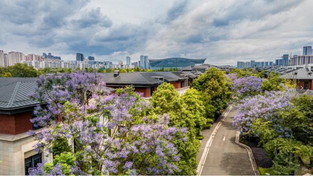 从王者荣耀到哪吒成都这座“岛”如何汇聚顶级IP与创意人才活力中国调研行(图2)