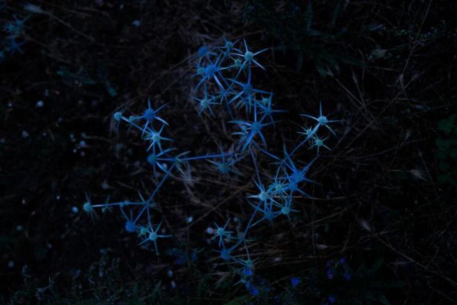 对白-中国(上海)当代摄影艺术展在白俄罗斯首都明斯克举行(图19)