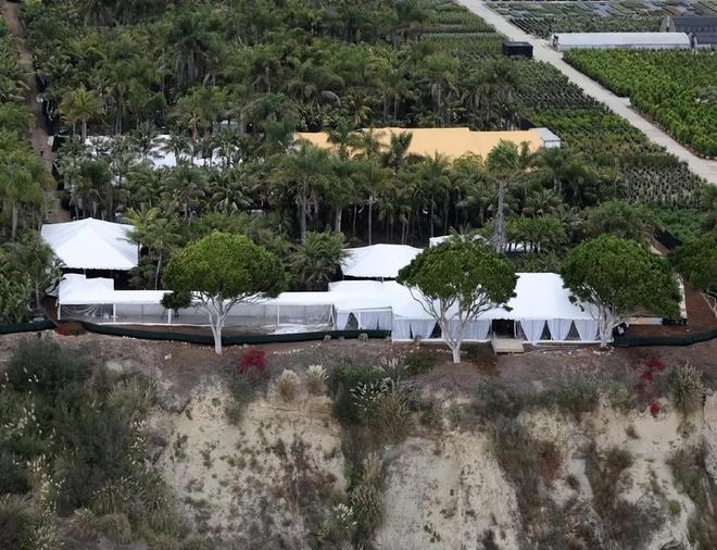 赛琳娜发布婚纱照官宣结婚泰勒斯威夫特到场参加婚礼(图6)