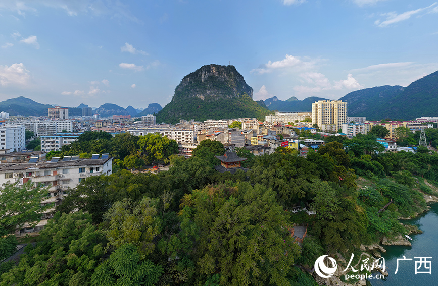 河池学院：深耕写作教育让“作家摇篮”绽放时代华光(图5)