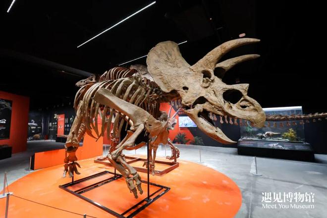 易倍：冬日文艺X项选择(图5)