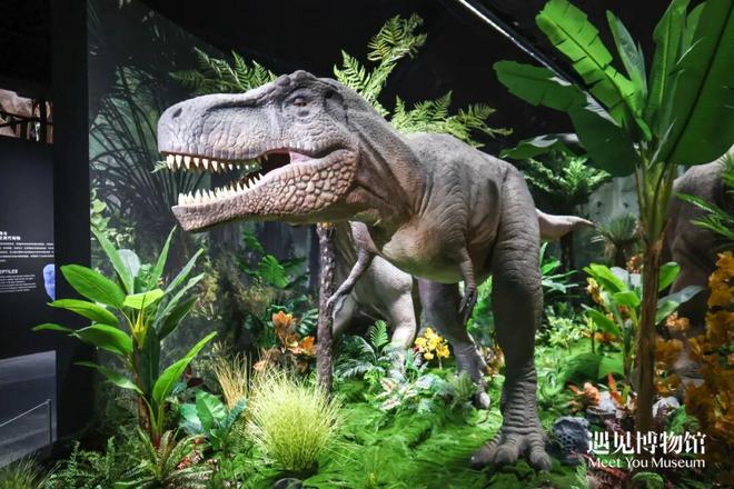 易倍：冬日文艺X项选择(图6)