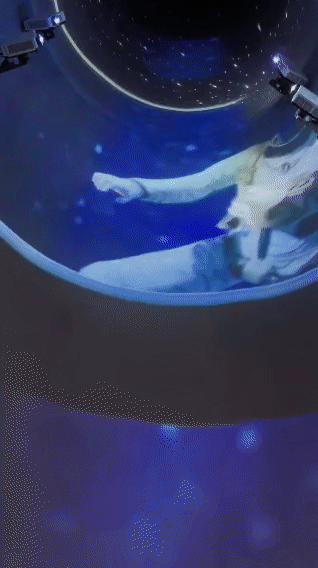 易倍网站：北京海淀这个“老砖窑”里的艺术区怎么玩？(图1)