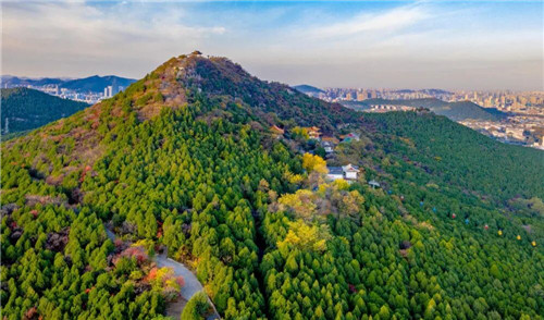 寻味“济南的冬天”(图3)