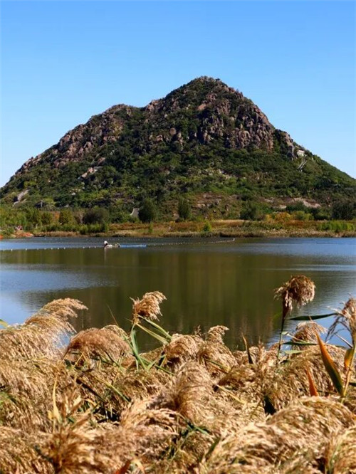 寻味“济南的冬天”(图4)