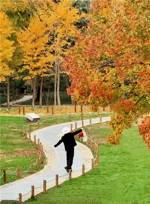 寻味“济南的冬天”(图12)