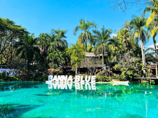 认证!西双版纳十佳旅行社出炉细分领域标杆引领品质新风尚(图2)