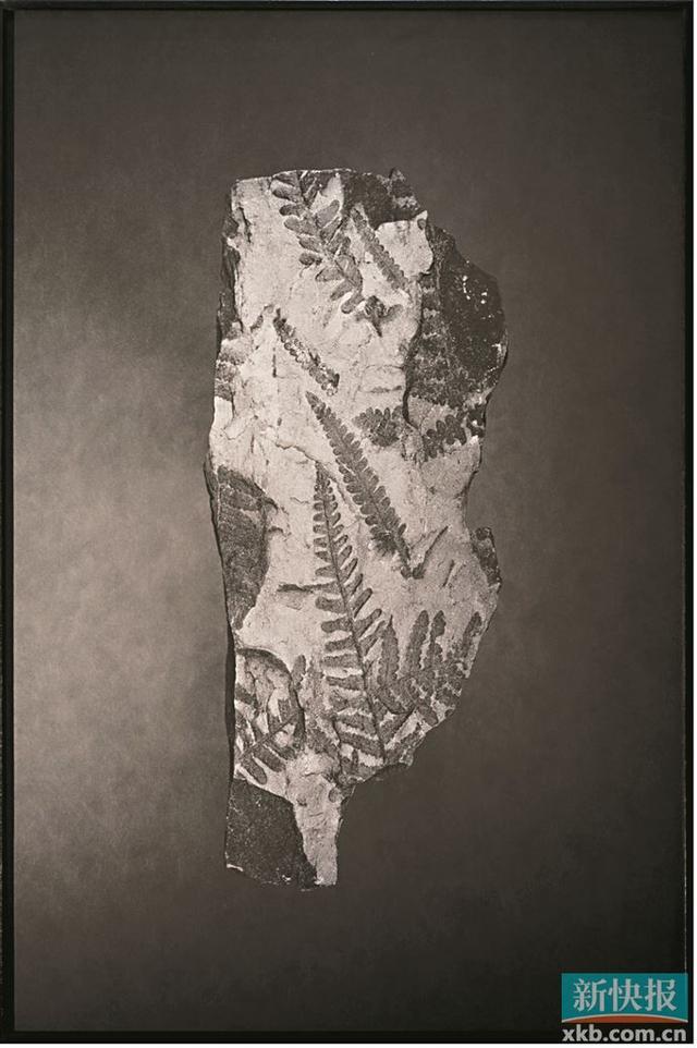 广州影像三年展的视觉盛宴(图3)