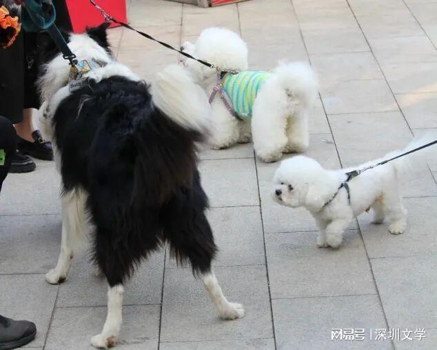 易倍网站：孤独死去百万遗产归公：一个46岁独身女子的离去令人不寒而栗(图7)