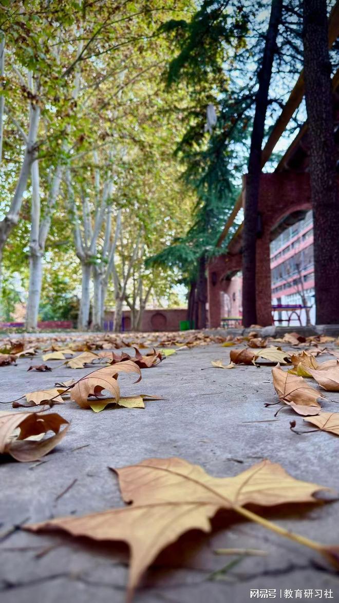 易倍：洛阳市东明外语实验学校：多元化教育服务引领区域发展(图3)