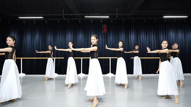 郑州舞蹈培训选哪家?中苑教育引领舞蹈艺考新风潮(图3)