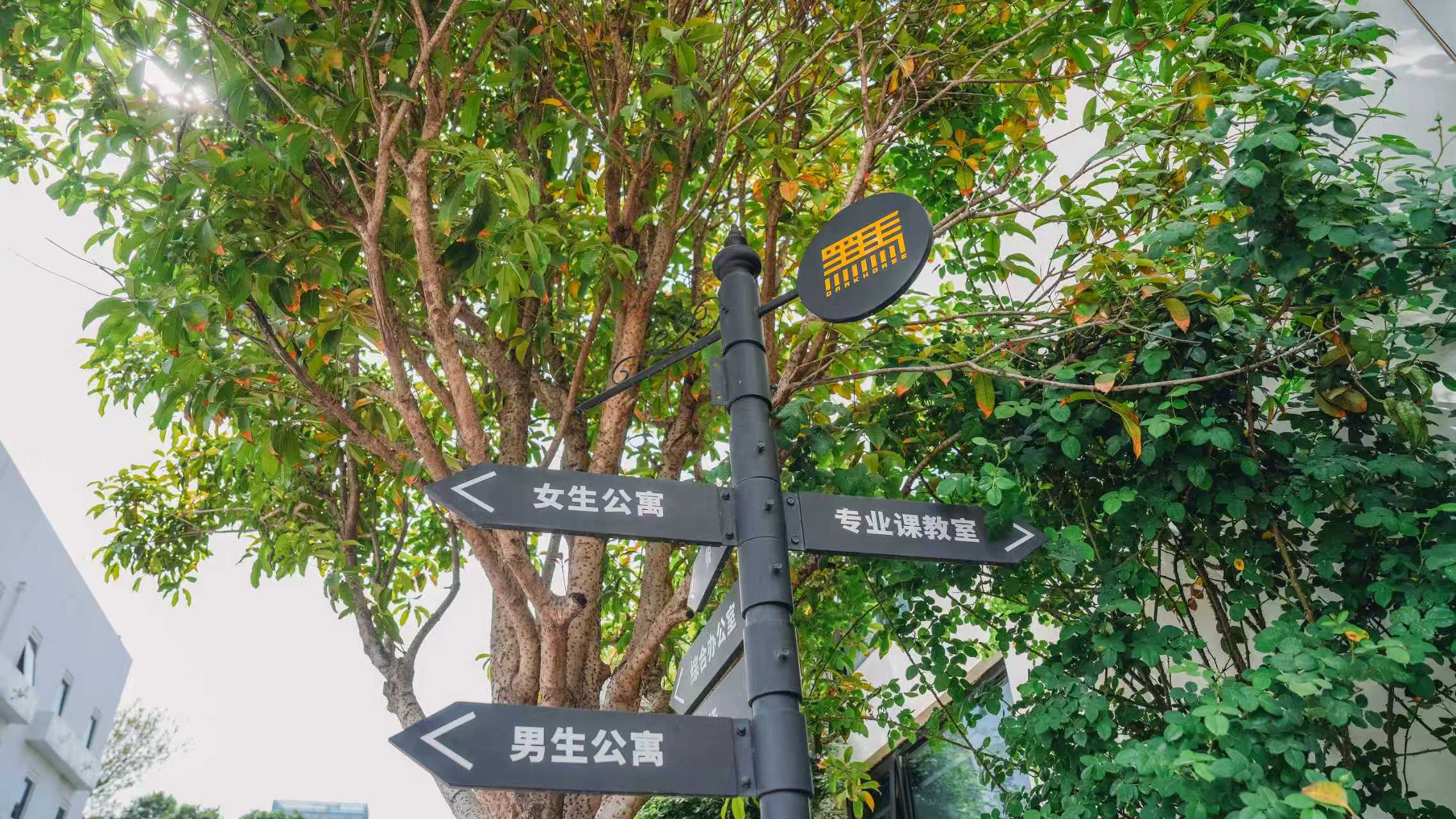 2026年4月新发布：聚焦陕西速写培训深度解析诚信标杆——黑马艺术培训学校(图1)